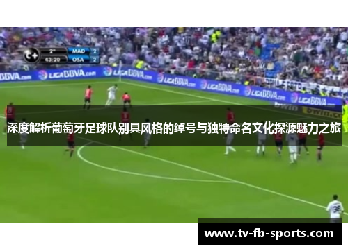 深度解析葡萄牙足球队别具风格的绰号与独特命名文化探源魅力之旅