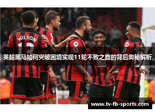 英超黑马如何突破困境实现11轮不败之路的背后奥秘解析 英超黑马如何突破困境实现11轮不败之路的背后奥秘解析