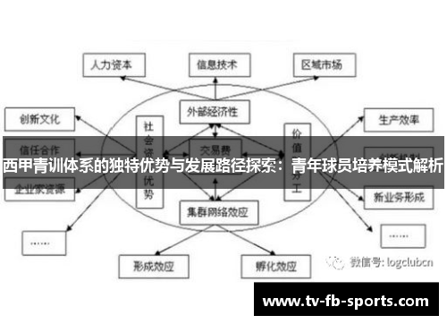 西甲青训体系的独特优势与发展路径探索：青年球员培养模式解析
